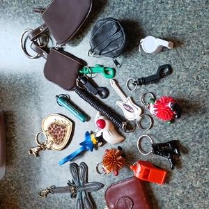 Collectable Key Chains Assortment 17